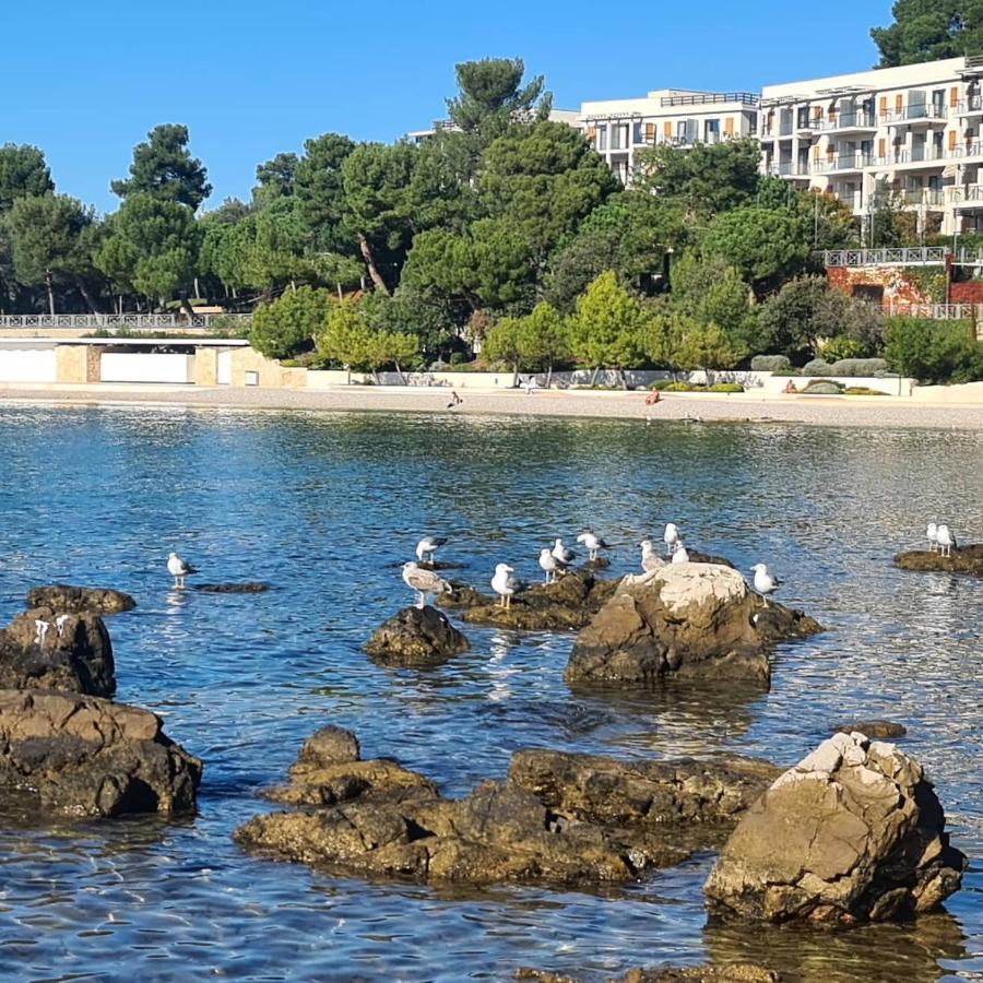 Vila Tena Rovinj Croatia Eksteriør billede