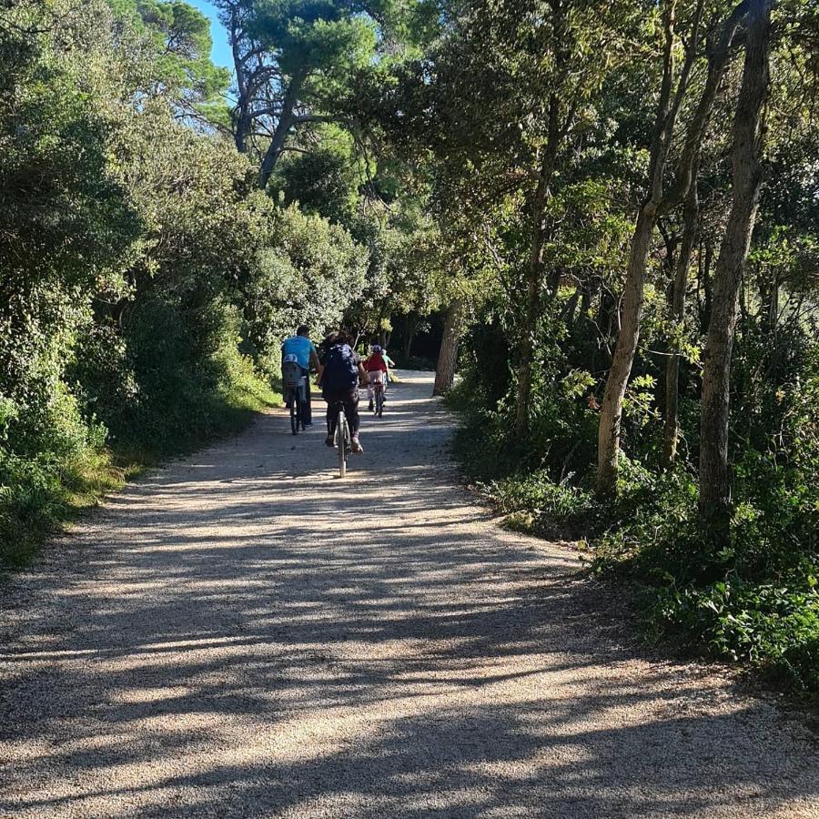 Vila Tena Rovinj Croatia Eksteriør billede