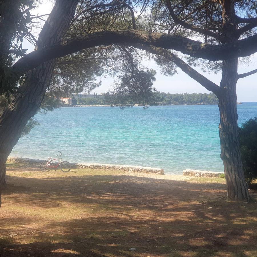 Vila Tena Rovinj Croatia Eksteriør billede