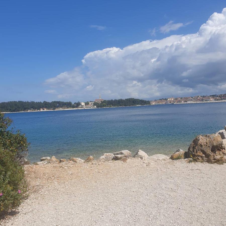 Vila Tena Rovinj Croatia Eksteriør billede