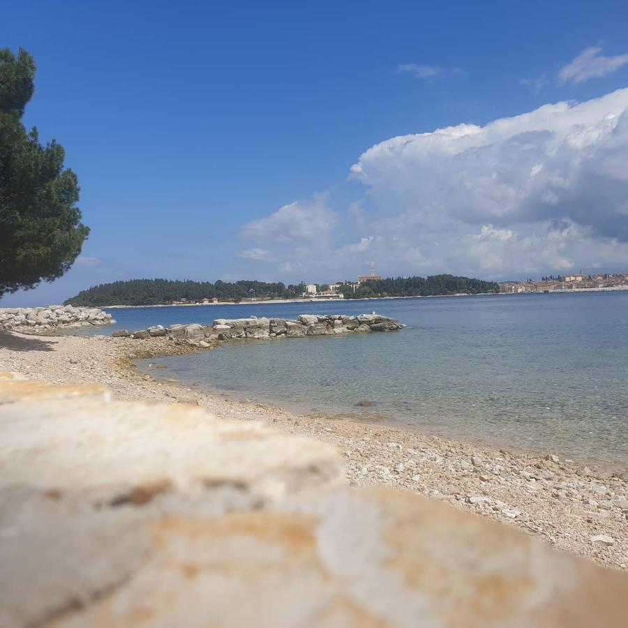 Vila Tena Rovinj Croatia Eksteriør billede