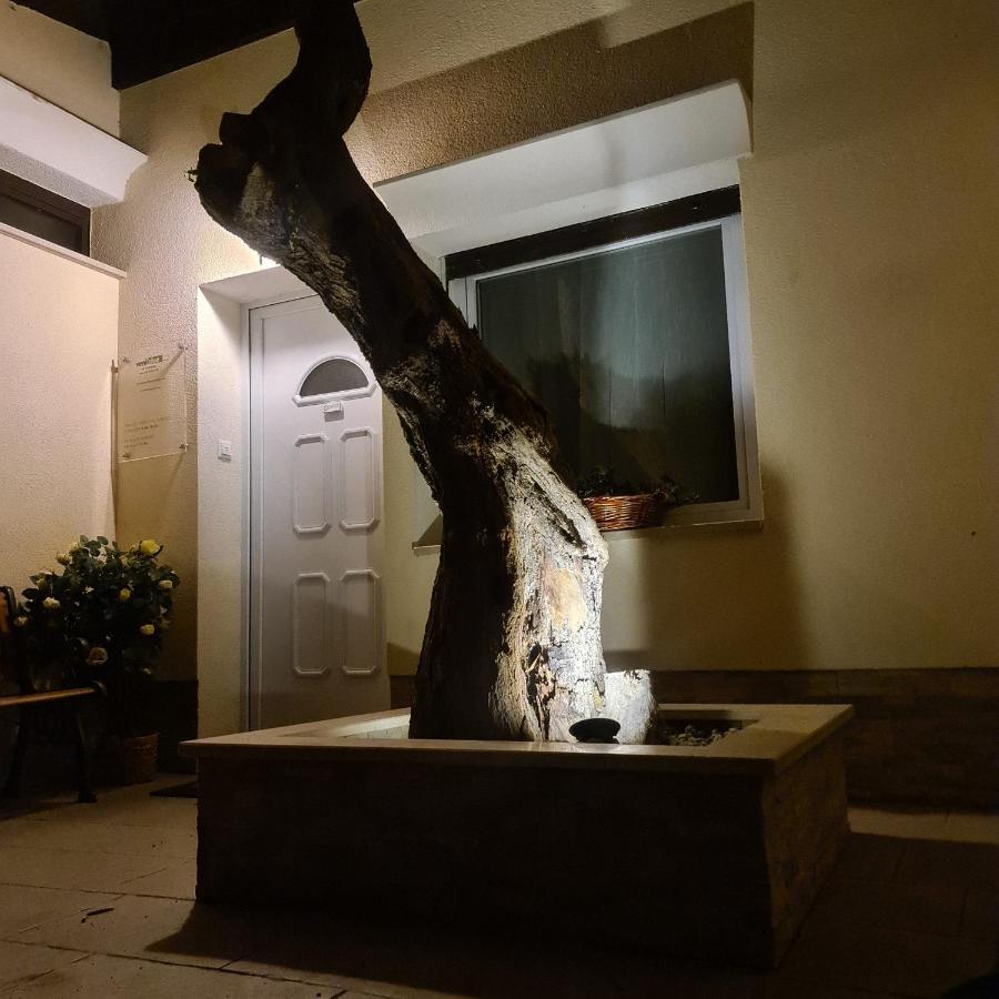 Vila Tena Rovinj Croatia Eksteriør billede